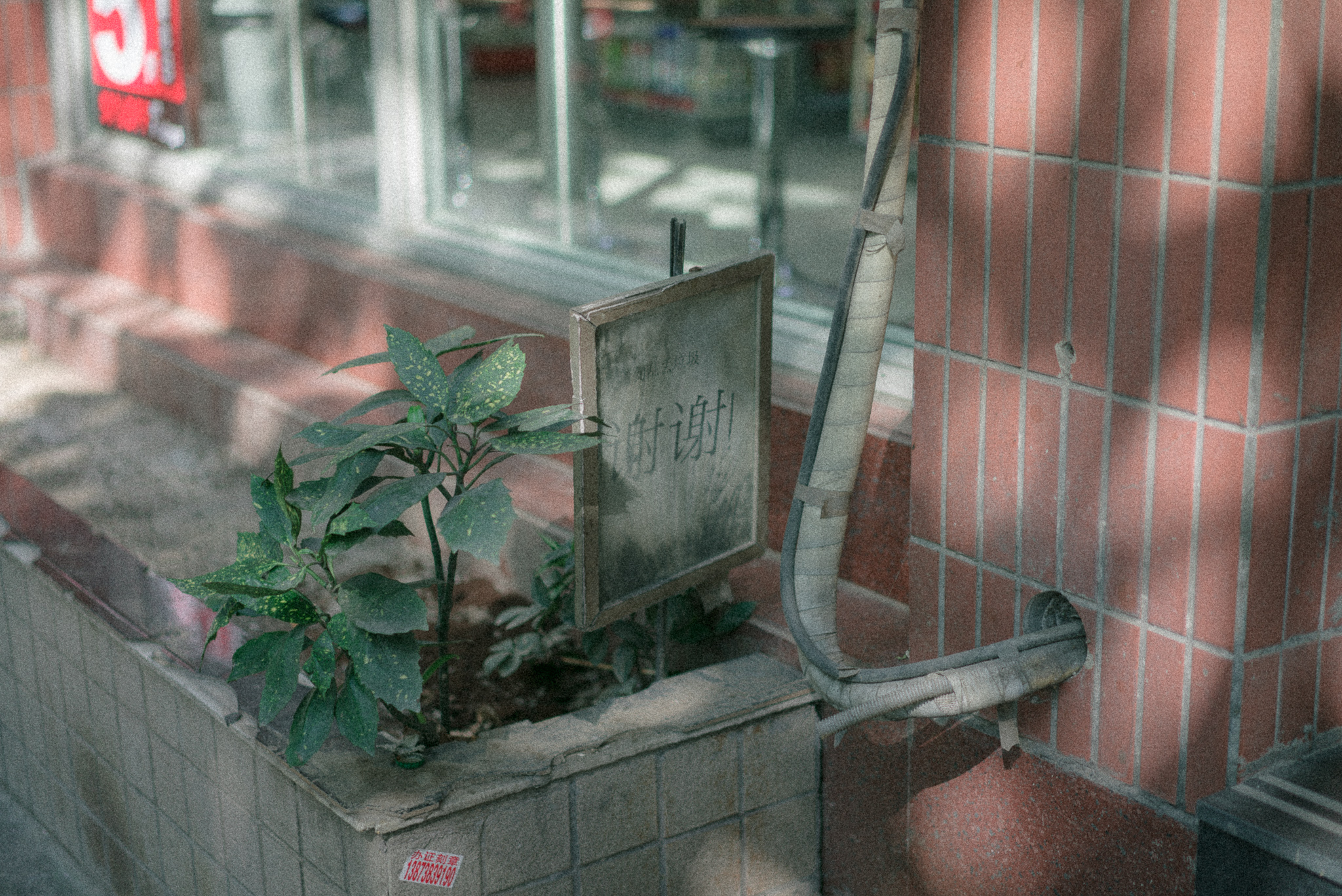 4 - 模拟胶片
