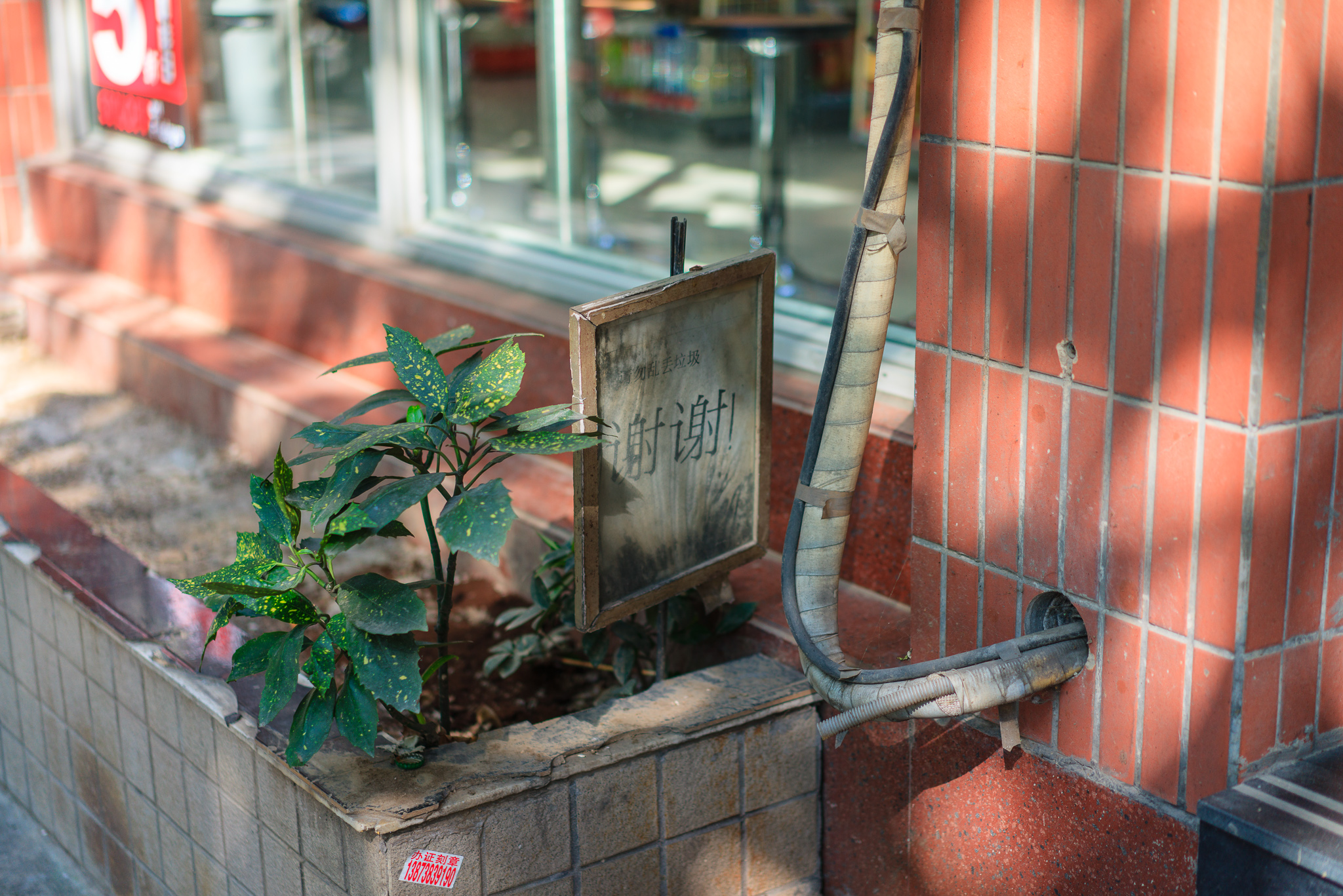 6 - 中性数码