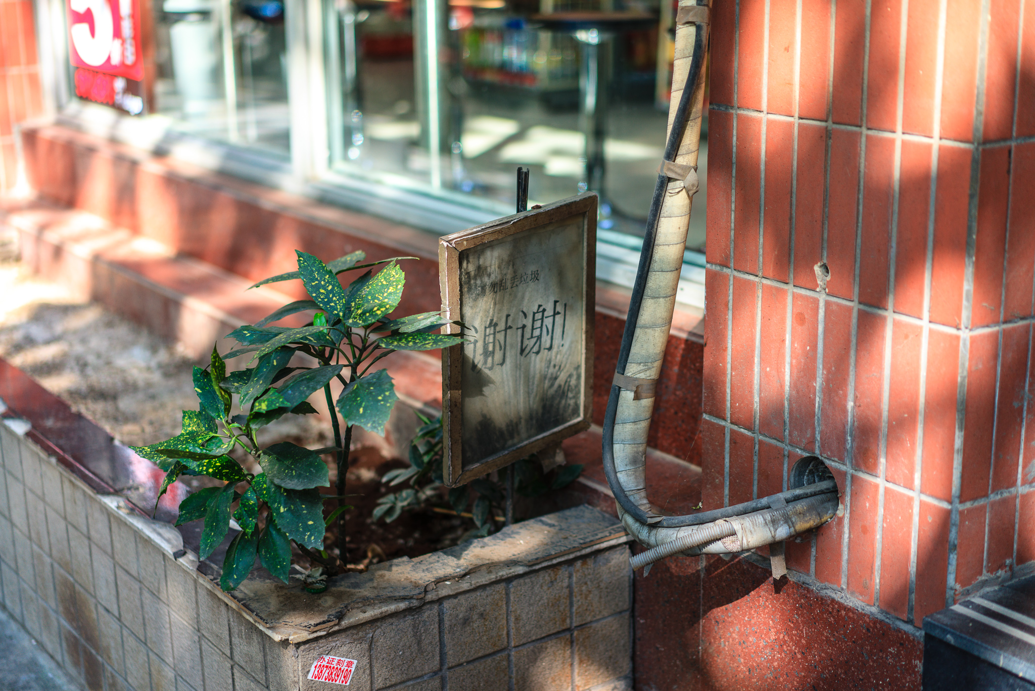 8 - 靓丽数码