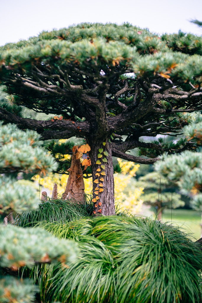 "Colorful Season" by Gino Zhang, on Flickr, on 500px