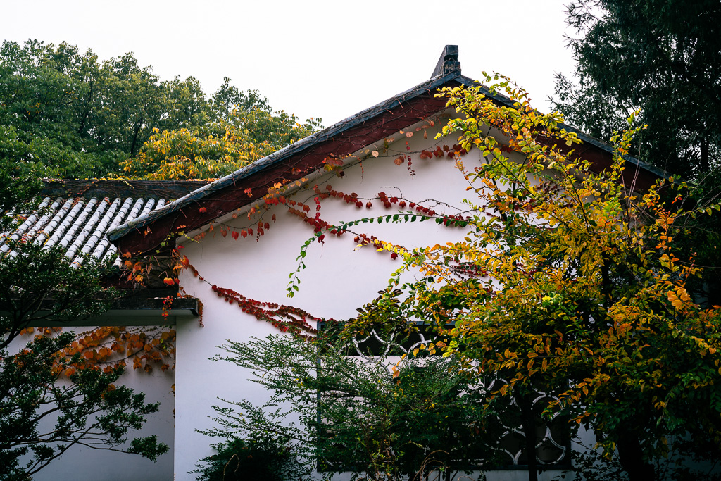 "Colorful Season" by Gino Zhang, on Flickr, on 500px