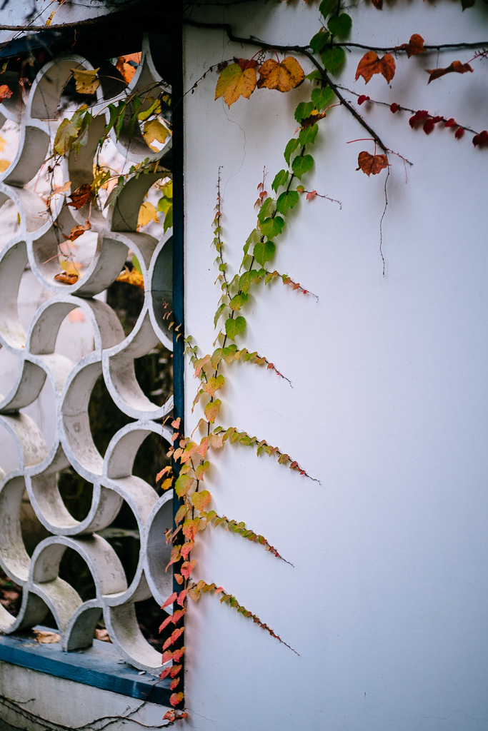"Colorful Season" by Gino Zhang, on Flickr, on 500px