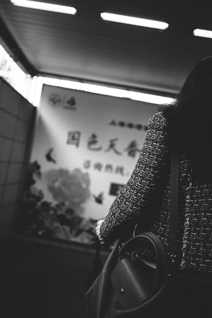 "國色天香" by Gino Zhang, on Flickr, on 500px