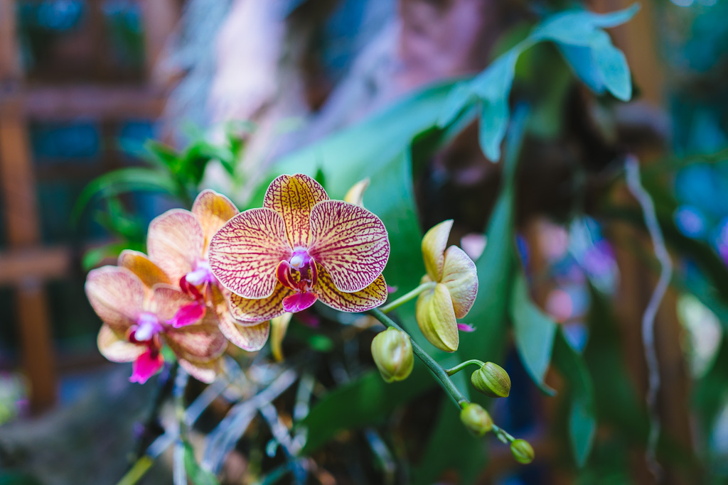 "20160925-100739_08089" by Gino Zhang, on Flickr, on 500px